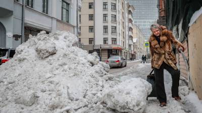 Евгений Тишковец - Московский снегопад занял второе место за всю историю наблюдений - vesti.ru - Москва