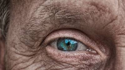 Израильские ученые вернули зрение пациенту после десяти лет слепоты - polit.info