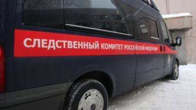 Новосибирец жестоко избил родную сестру в подъезде дома - nation-news.ru - Новосибирск - Новосибирская обл.