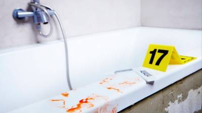 Расчлененное на мелкие куски тело женщины нашли в ванной в Костроме - 5-tv.ru - Ленинградская обл. - Кострома