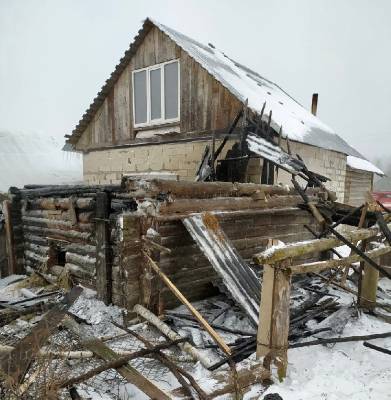 Смоленские огнеборцы спасли птиц из горящего курятника - rabochy-put.ru - район Руднянский