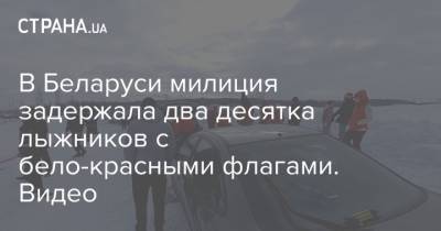 В Беларуси милиция задержала два десятка лыжников с бело-красными флагами. Видео - strana.ua - Белоруссия - Солигорск