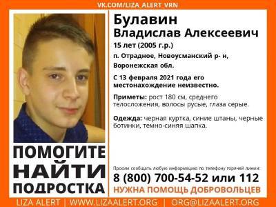 Пропавшего 15-летнего мальчика ищут под Воронежем - gorcom36.ru - Воронеж