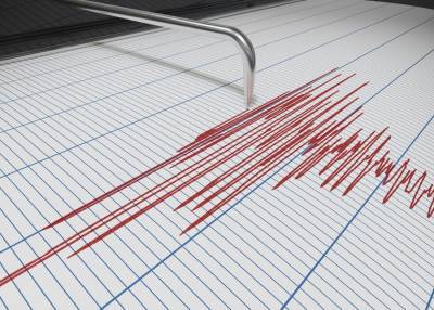 Землетрясение магнитудой 5,7 произошло в Тихом океане у Новой Каледонии - m24.ru - США - Япония - Новая Каледония