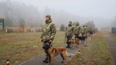 Собачий нос – знает: в Кинологическом учебном центре похвастались достижениями воспитанников - 24tv.ua - Шри Ланка - Новости