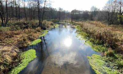 Preserve "Slonim": a fairy forest, healing springs and a stone of lovers. Travel reportage from natural routes - grodnonews.by