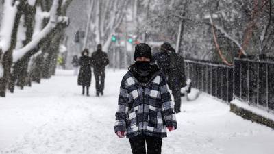 Али Ерликая - В Стамбуле из-за снегопада закрыты все учебные заведения - iz.ru - Стамбул