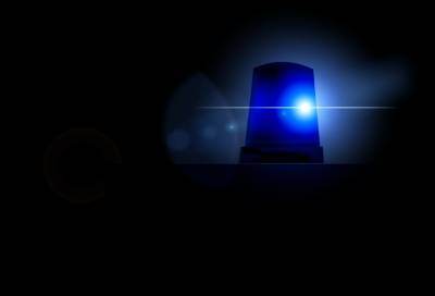 Пакет с оружием нашли в ходе обыска иномарки в Петербурге - online47.ru - Санкт-Петербург
