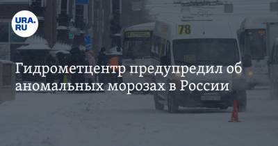 Роман Вильфанд - Михаил Леус - Гидрометцентр предупредил об аномальных морозах в России - ura.news - Москва - ЦФО