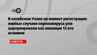 В китайском Ухане на момент регистрации первых случаев коронавируса уже циркулировали как минимум 13 его штаммов - echo.msk.ru - Ухань