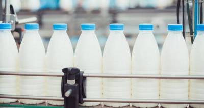 Игорь Брыло - Беларусь планирует за 5 лет увеличить производство молока почти на 15 % - produkt.by - Белоруссия