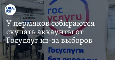 У пермяков собираются скупать аккаунты от Госуслуг из-за выборов - ura.news - Пермский край