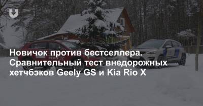 Больше и дороже или меньше, но дешевле? Сравниваем Geely GS и Kia Rio X - news.tut.by