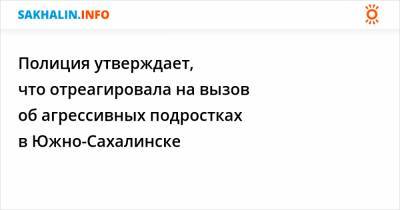 Полиция утверждает, что отреагировала на вызов об агрессивных подростках в Южно-Сахалинске - sakhalin.info - Сахалинская обл. - Южно-Сахалинск