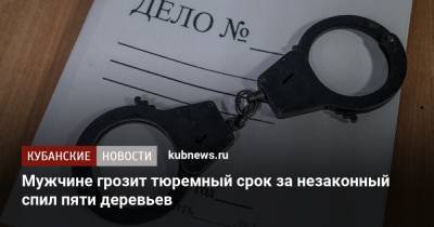 Мужчине грозит тюремный срок за незаконный спил пяти деревьев - kubnews.ru - Краснодарский край - Ейск