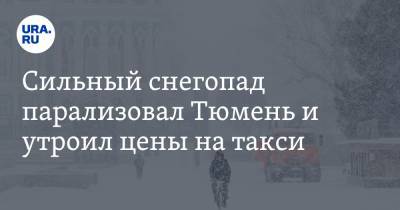 Сильный снегопад парализовал Тюмень и утроил цены на такси - ura.news - Тюмень