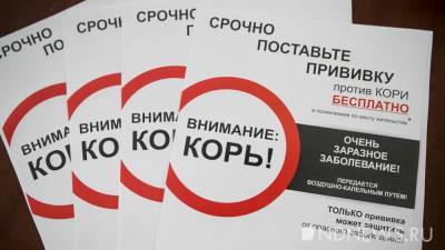 В пандемию коронавируса корь сошла на нет: в 2020 году был зарегистрирован один случай, в 2021-м – ноль - newdaynews.ru - Екатеринбург - Свердловская обл.