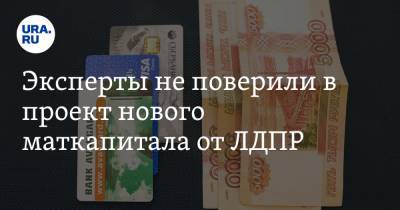 Светлана Бессараб - Эксперты не поверили в проект нового маткапитала от ЛДПР - ura.news