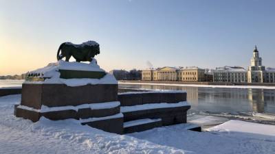 Потепление и небольшой снег ожидают петербуржцев в понедельник - inforeactor.ru - Ленинградская обл.
