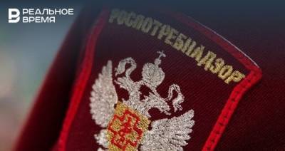 Максим Платонов - Дмитрий Резнов - Радик Юльякшин - Элвин Грей - Любовь Авдонина - Роспотребнадзор: отмена концертов Элвина Грея в Татарстане не связана с требованиями ведомства - realnoevremya.ru - респ. Татарстан - Казань