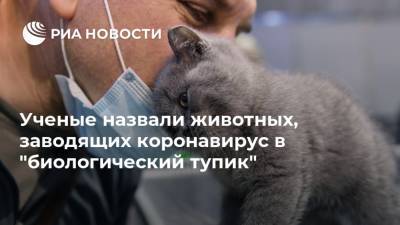 Ученые назвали животных, заводящих коронавирус в "биологический тупик" - ria.ru - Москва - Ухань
