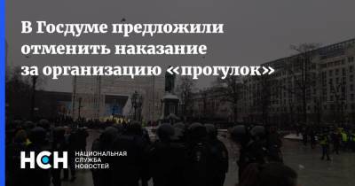 Андрей Барышев - В Госдуме предложили отменить наказание за организацию «прогулок» - nsn.fm