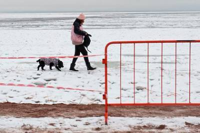 В Петербурге нашли вмерзшего в лед Финского залива босого человека - lenta.ru - Санкт-Петербург
