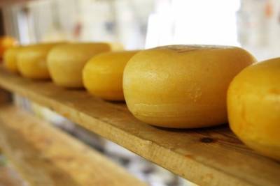 Украина в прошлом месяце на четверть нарастила экспорт сыров - enovosty.com