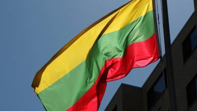 Аглая Чайковская - Литва больше не будет импортировать электроэнергию с БелАЭС - politros.com - Литва