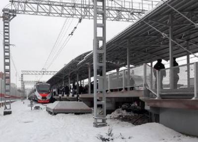 Женщина в Подмосковье попала под электричку, заслонившись от метели капюшоном - province.ru - Москва - Московская обл. - Подольск