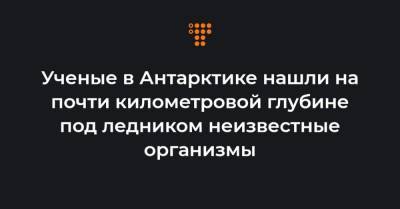 Ученые в Антарктике нашли на почти километровой глубине под ледником неизвестные организмы - hromadske.ua - county Frontier