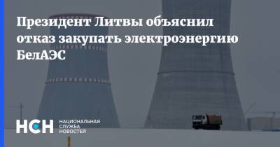 Александр Лукашенко - Гитанас Науседа - Кадри Симсон - Президент Литвы объяснил отказ закупать электроэнергию БелАЭС - nsn.fm - Белоруссия - Литва