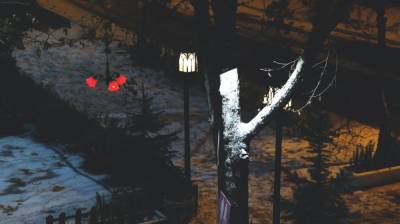 В Воронеже компания парней напала на гулявших по ночному городу девушек - vestivrn.ru - Воронеж