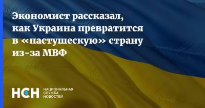 Александр Скубченко - Экономист рассказал, как Украина превратится в «пастушескую» страну из-за МВФ - nsn.fm - Украина - Киев - Монголия