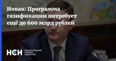 Дмитрий Медведев - Александр Новак - Новак: Программа газификации потребует ещё до 600 млрд рублей - nsn.fm