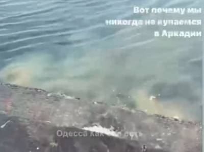 В Аркадии на плитах сливают в море нечистоты – опубликовано видео (видео) - odessa-life.od.ua - Одесса