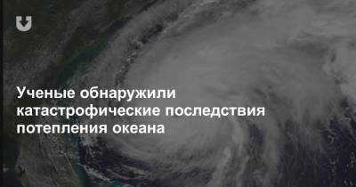 Ученые обнаружили катастрофические последствия потепления океана - news.tut.by