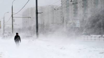 Анатолий Цыганков - Синоптик рассказал о погоде в столичном регионе - russian.rt.com