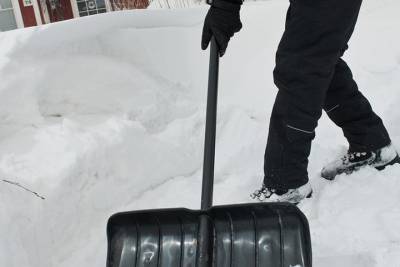 В Ярославской области чиновница посоветовала жителям взять в руки лопаты - yar.mk.ru - Ярославская обл. - район Ростовский