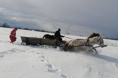 Под Житомиром девушку доставили к скорой на лошадях - news.bigmir.net - Украина - Житомирская обл. - Житомир