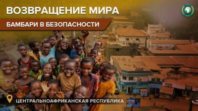 Премьер ЦАР рассказал о восстановлении мирной жизни в Бамбари - riafan.ru