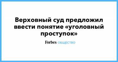 Верховный суд предложил ввести понятие «уголовный проступок» - forbes.ru - Россия