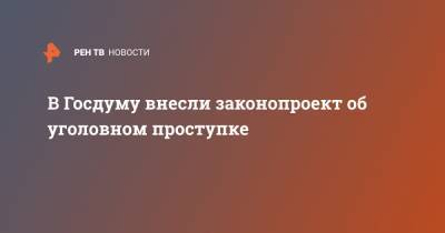 В Госдуму внесли законопроект об уголовном проступке - ren.tv