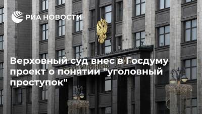 Верховный суд внес в Госдуму проект о понятии "уголовный проступок" - ria.ru - Москва - Россия