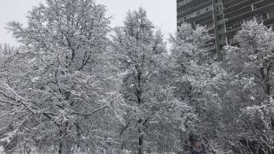 Европейские газовые запасы "тают" из-за "Зверя с Востока — 2" - polit.info - Австрия - Чехия - Европа