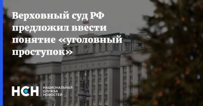 Верховный суд РФ предложил ввести понятие «уголовный проступок» - nsn.fm
