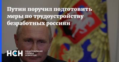 Владимир Путин - Путин поручил подготовить меры по трудоустройству безработных россиян - nsn.fm