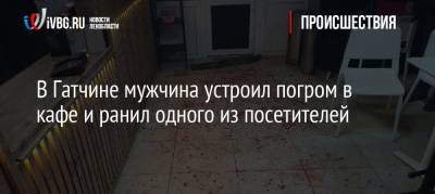В Гатчине мужчина устроил погром в кафе и ранил одного из посетителей - ivbg.ru