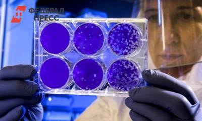 Александр Чепурнов - Какое животное было изначальным носителем COVID-19: от панголинов до змей - fedpress.ru - Москва