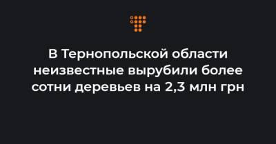 Андрей Малеваный - В Тернопольской области неизвестные вырубили более сотни деревьев на 2,3 млн грн - hromadske.ua - Тернопольская обл.